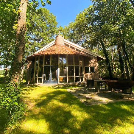 De Paddestoel Villa Wateren Eksteriør billede